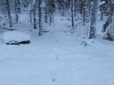 DSCF1877  helt lige spor med stor skidtlængde