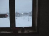 DSCF1899  Gab .. op om morgen .. what ?? hvad er det for sorte prikker på min indkørsel