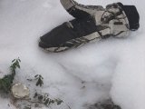 DSCF1906  Vander nu rundt i Komossen .. hul vel for lille til ræv .. mulvad=sumprotte?, med et stjålet æg lige ved  indgangen