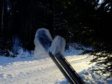 DSCF1927  Jag blir sat på vegs .. bra 50m fram kom Har'n imot mej, men Björn kom i bil från andra hollet -> den hoppats til skogs igen
