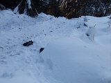 DSCF1933  Vi hörde Mickie ge skal och gik på pass igen.. her har Haren flyget igennom