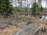 IMG 0010  Gammel pram ved hårnåle sving, fra modsatte bred 'høstede' jeg bamse B nogen dage efter
