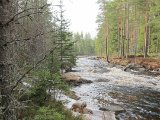 IMG 0013  længere opstrøms= mere strøm, fladere og mere stenfyldt .. nok ikke B sted .. ej heller så meget gnav
