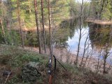 IMG 0098  4de aften ca 150m nedstrøms fra hvor jeg skræmte større B nogen dage siden.