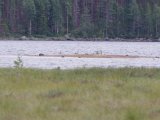 IMGP0832  der