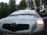 IMG 0456  Sandsjön V side op ad gammel stikvej til ødegår igennem græs i brysthøjde. Bilen har plukket en hel del insekter