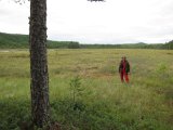IMG 0464  Jo så er jeg kommet ud på pynten ved yderneden af mosen/start af søen