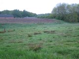 IMG 0202  lige ved åbning ca  5.03. Smaldyr frem fra ung skov igen?..nej kan se der er noget på hovdet. Riffel op 20x.. gaffel .. nej 6er,,, ok .. nej gaffel (som vi ik' må tage) .. jo ok..urolig ryk på 5m så lidt nap .. perfekt bredside til.. nej den er ikke ok.. den får mer fart på, må skifte over til anden skulder for at kunne være med. ca 80m ude, står i spids ->  'ubevidst' ok = aftræk. Skudsted H hjørne. Den slår en bue på end 30m og lægger sig TV (rød riffel rem). Sad oppe i læghegnet igen.