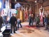IMG 0755  Skinning og rensning: denne dag blev taget 2 kalve, en 2+4 tyr og en ko