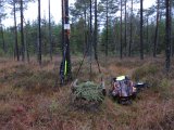 IMG 0792  tvär över rågang i midten 40m bort....ok ensam hondjur..kvigga ..do in skog TV så bara hals, ben huvud ..ingen skot i det grönna..had ingen siktbild