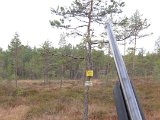 IMG 0811  sidats pass denna helg..rackt vi skogs vägen