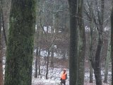 DSCF1967  klar til at lade hundene løs