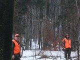DSCF1971  Der kikkes/ ledes - skud på rådyr