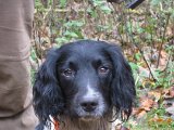 IMG 0839  Otto