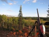 IMG 0644  prøver at sætte mig på en høj knold i nyfæld ..udsigt over skov bryn og mose ud til 400m..måske kan man få se noget..