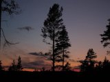 IMG 0648  flot flot