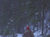 IMGP0950  D 23.. Harjakt med Björn. Inte helt ljust än - Björn går og hjälper hund, da det är tö og al färt blandads ihop