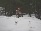IMGP0952  Sitter på pass vid vägen.. blir lit kalt i längden så flytter lite  en gång i mellom