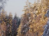IMGP1060  Solen bra på väg
