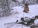 IMG 0910  Ankomst dag efter kontrolskyd. tager lille hund med på kort skovtur
