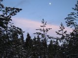 IMG 0987  Rosa färg vid kant av Gängmossen = go hem åt tid..o blir kalt nu .. men den her tät skogen svårt at kolla riktning