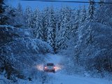 IMG 0997  Björn o Alf kollar efter harspor..jag blir tilbaks..min Yaris har ingen chans do det nu är bra vinter snö her uppe