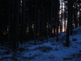 IMG 1034  Äfter lite letan hittat Ô sidan av mossen .. MEN var? eksakt? = svårt at se på GPS = för mörkt..kom för långt ner i tätskog .. men hem ändå