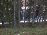 IMG 1240  sigt ned mod elven og relativ færsk fæld.. Happy/Leif skal bruge kræfter så kan han passende slæbe 2x1½liter vandflasker i rygsæk