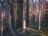 IMG 1253  kigger mod S .. solen går i seng nu
