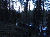 IMG 1254  Solen er reelt nede.. Kanadagås har været forbi også .. landende par 100m opstrøms