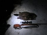 IMG 1268  Ok størrelse .. sener vejet til ca 16kg..lille prik i sorte vand = spejl af ½måne