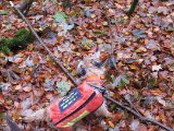 Essendrup Nov 2012