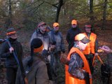 IMG 2869  Det synes godt det orange 'tjavs'
