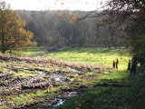 IMG 2874  Jais sat sig frem ved krat/busk ved 'volden'