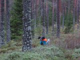 IMG 2716  Starter med fuglsøg før Elgjagten går i gang