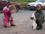 IMG 2773  Små hunde , små jægere og kæmpe klov