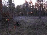 IMG 2780  Frost morgen på pas