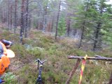IMG 2832  aj skit jakt..där 30m bort fron V -> H, skot på (radio sa ensam djur = tjur el ko) .. men liten..kvigga ? .. nej ensam kalv..bomma (var det vel efter efrsäg ingen sweiss el hår el nåt.. var tveksam = hodl skot tilbaks (o siktet hvar högt)