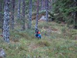IMG 2835  jo där a¨r han..men var är fåglarna?