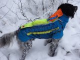 DSC00182  Og sømmåtter langs ryg og nakke..men angreb bagfra = intet .. det ville/kunne hr Mikut ikke lave