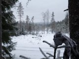 DSC00197  På anden side af landevejen..havd lige ste en mørk klump i høje Fyr TV .. kikkert op Tjur øje til øje på end 150m..men ser mig med det samme og svæver væk .. arrgh