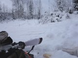 DSC00212  Gemmer mig lige ved indkørsel .. og dælme haren kom bagfra stoppede op 5m fra mig .. men fik fart på da jeg drejde om for at se