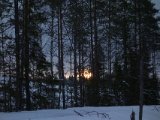 DSC00234  menm intet idag