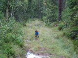 IMG 2448  BjHJ hundvest + sbibbervest afprøves