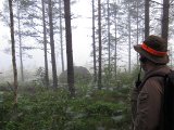 IMG 2475  morgentåge