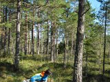 IMG 2492  Gängmosen