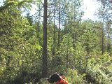 IMG 2495  Er det noget ?? . nej vel ik'?