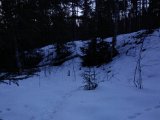 DSC00536  på vej op til jernebane volden..her er det ene slæbe spor jeg fulgt ned til stedet i første omgang