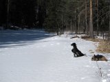IMG 0109  Og elven er stadig frosste helt til her