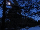 IMG 0129  Månen giver dog lys til at kunne få syn på en B hvsii den er mod sne baggrund